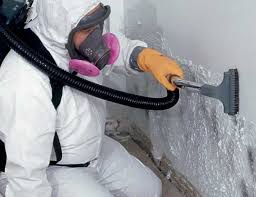 Best Basement Mold Removal  in , GA